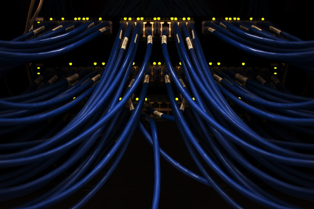 Bundle of blue network cables